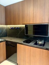 Botanic Gardens View (D10), Apartment #485870881